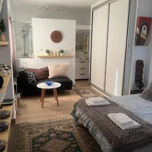 estudio-loft-centro-santa-cruz-capital.in-canary-islands.com/